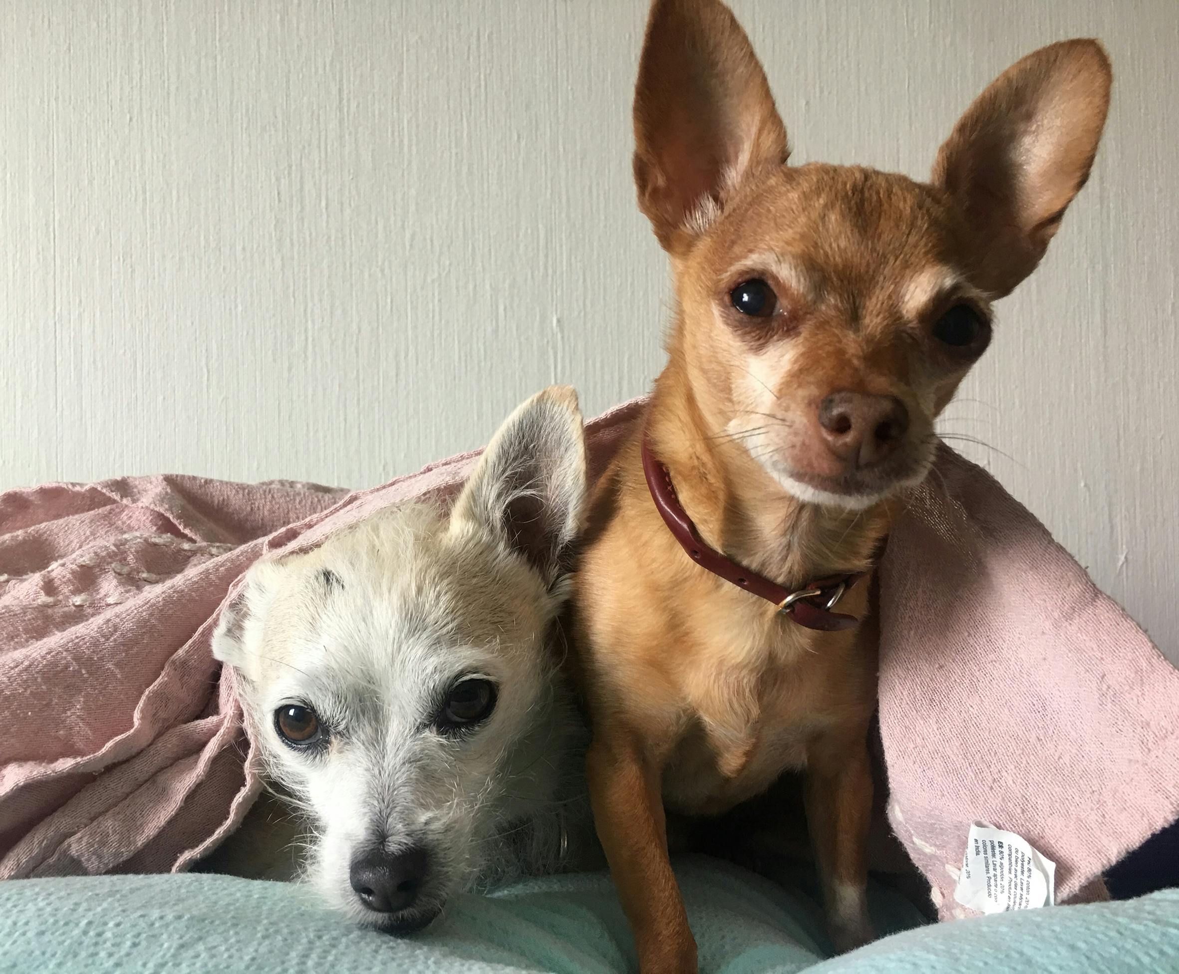 img 3899 mona b riise barn